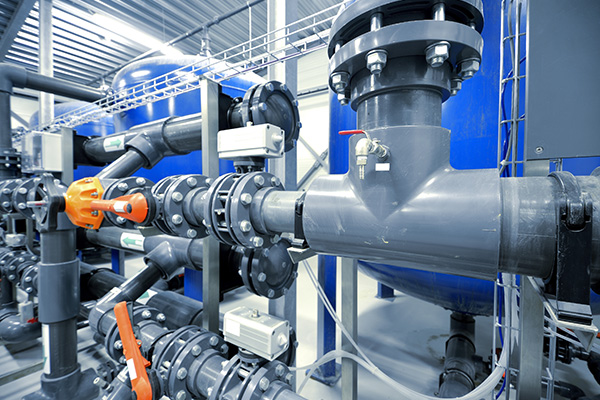 ဘုံအဆို့ရှင်ဖွဲ့စည်းပုံနှင့်ဝိသေသလက္ခဏာများ