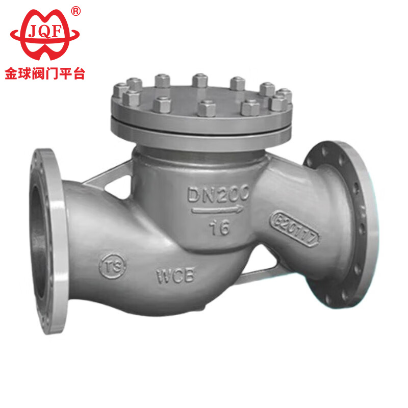 Lift Check Valve