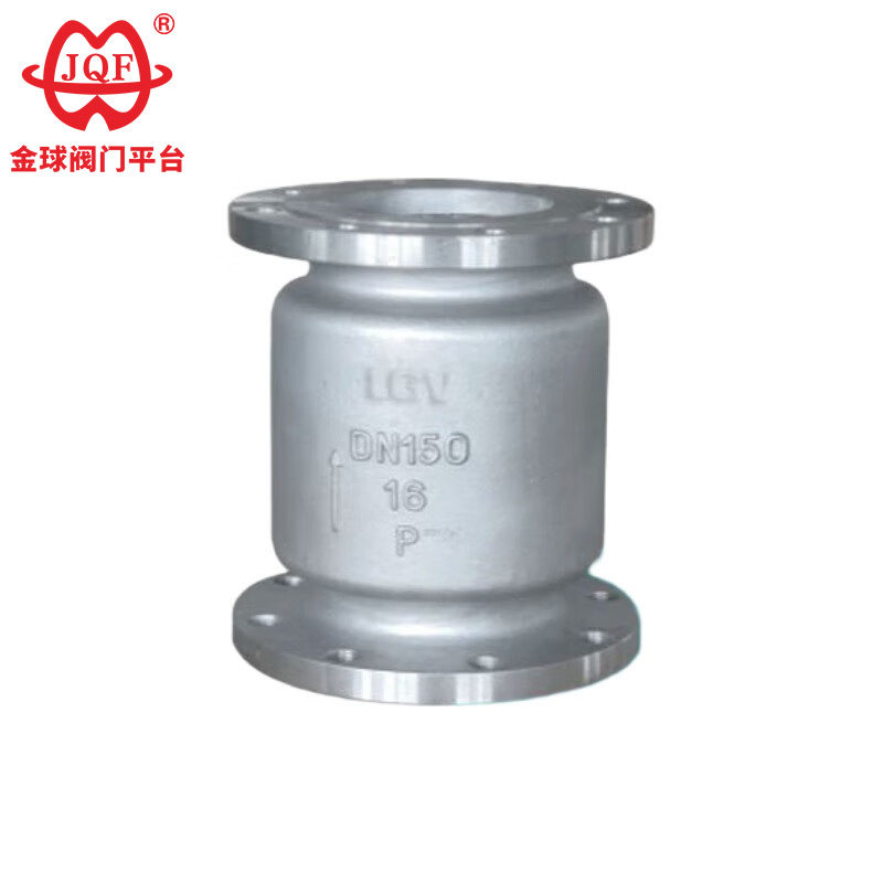 Power Station Check Valve