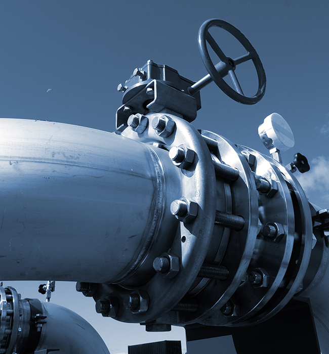 အရည်ကမ္ဘာရှိ 'ထိန်းချုပ်မှုအုပ်ထိန်းသူ'